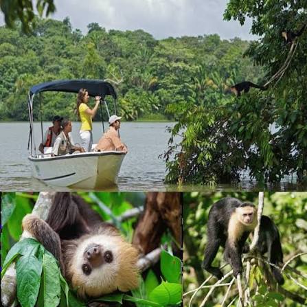 Monkey Island